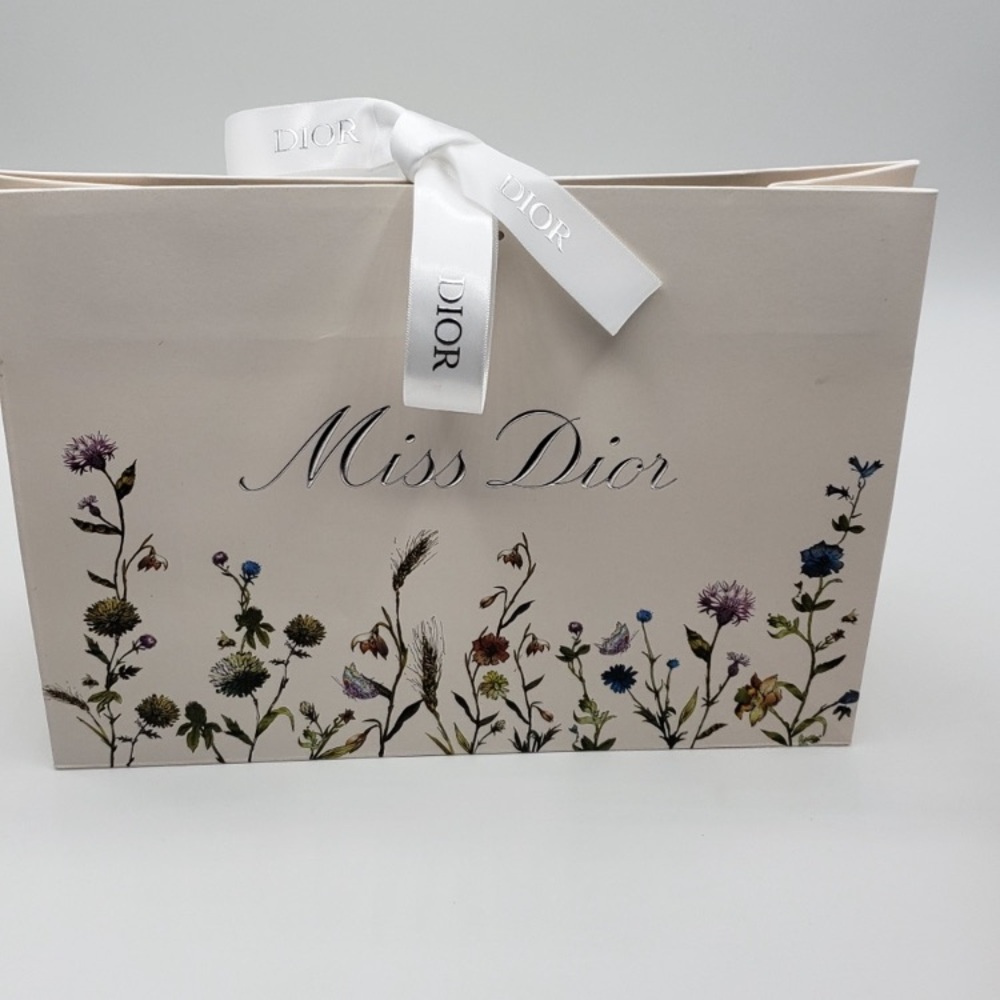 Dior Gift Bag/NIP